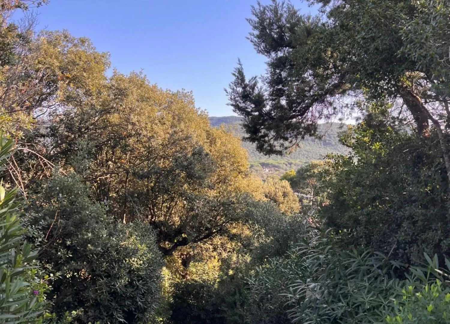 Le Mimose Apartment Punta Ala Italy
