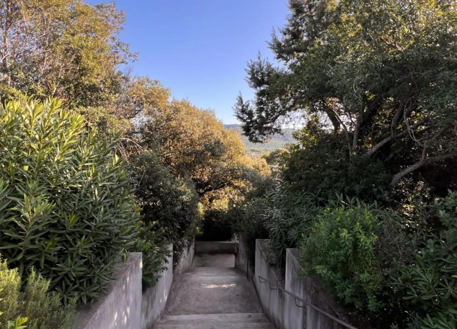 Le Mimose Apartment Punta Ala
