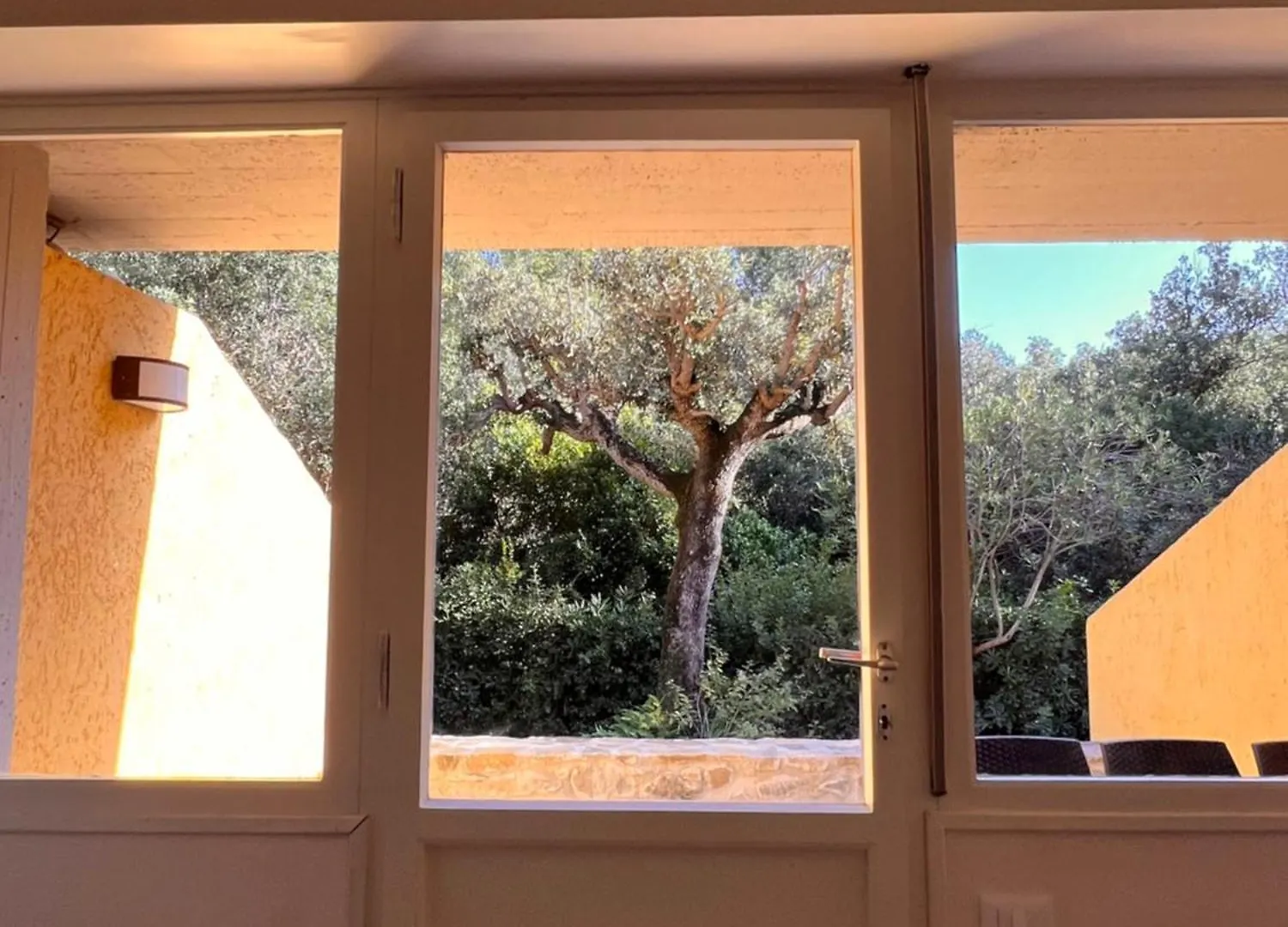Le Mimose Apartment Punta Ala