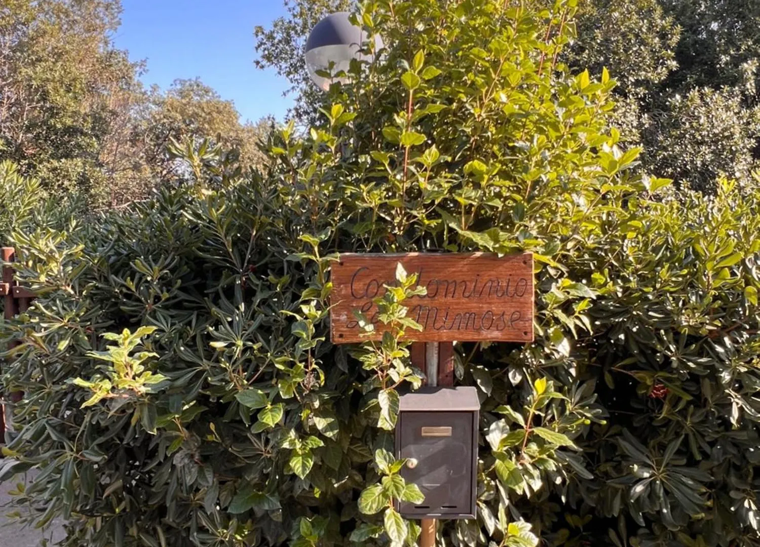Le Mimose Apartment Punta Ala Italy