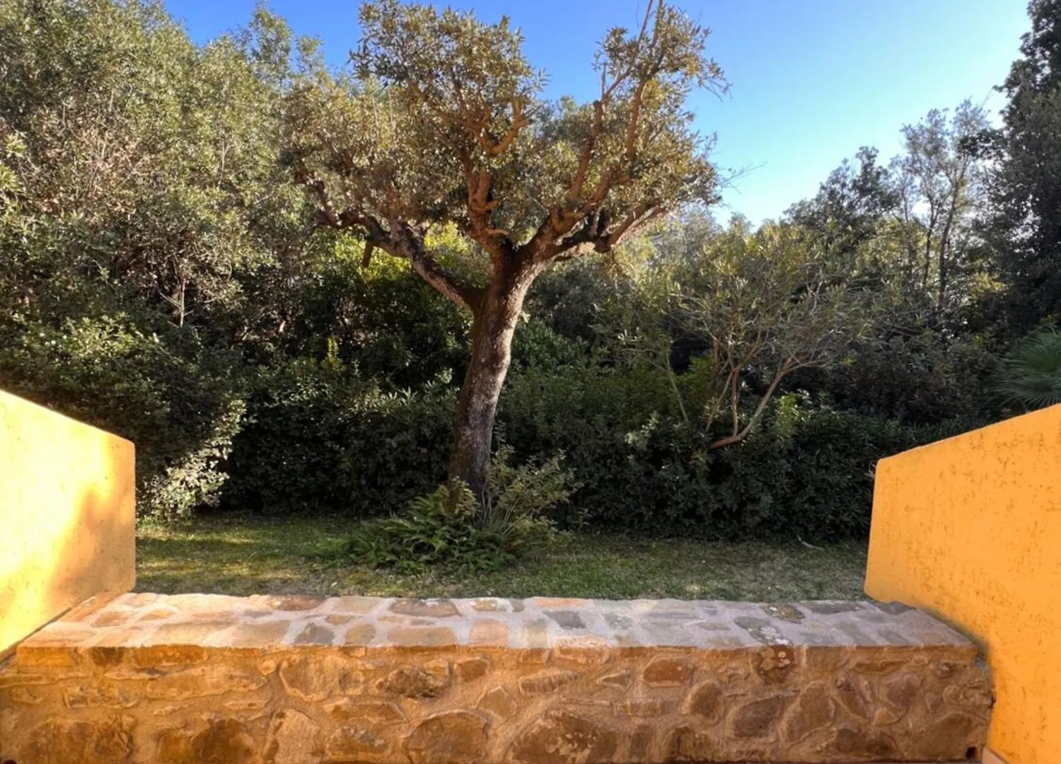 Le Mimose Apartment Punta Ala