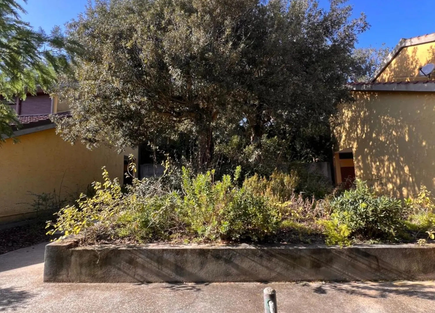 Apartmán Le Mimose Punta Ala