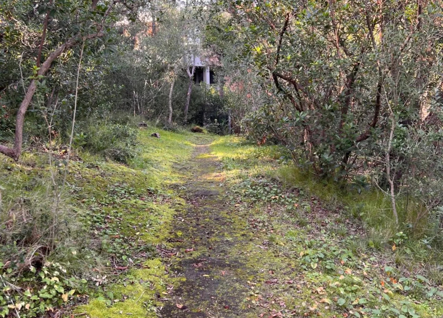 Apartmán Le Mimose Punta Ala
